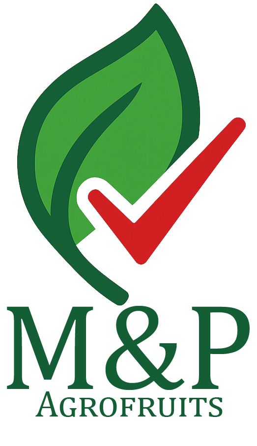 Cliente MYP